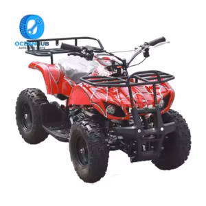 Mini ATV 49cc démarrage manuel — moteur 2 temps simple
